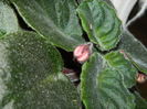 DSCN1842