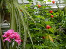 DSCN1853