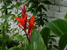 DSCN1862