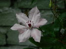DSCN1881