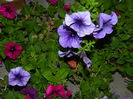 DSCN1928