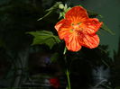 DSCN1930