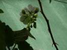 DSCN1983