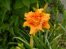 DSCN2003