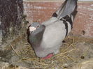DSC02975