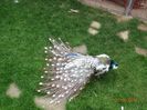 DSC01580