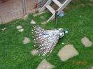 DSC01624