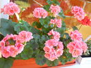 DSCN7647