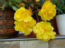 DSCN7658