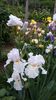 20150516_192920