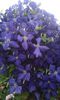 20150613_213728