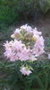20150709_073052