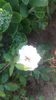 20150709_073058