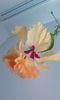 2015-07-09 15.51.26