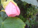 SAM_7249