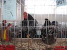 Expozitia Nationala Breaza 2010 180