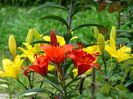 DSC09642