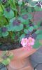 20150614_101601