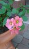 20150614_101608