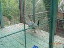 DSC01556