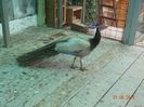 DSC01707
