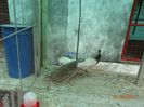 DSC01724