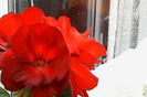 IMG_20150610_072028
