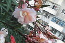 IMG_20150612_202121