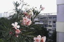 IMG_20150614_181357