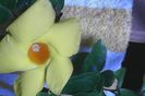 IMG_20150704_153927