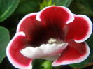 P7100068