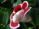 P7100069