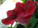 P7060002