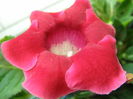P7100001