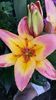 20150702_153227