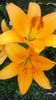 20150710_143745