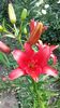 20150702_153444