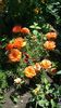 20150710_144050