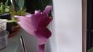20150710_170621