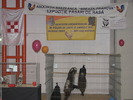 Expozitia Nationala Breaza 2010 281