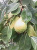 IMG_20150710_132544