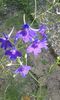 20150614_101805