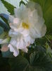 DSC04426