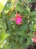 DSC04429