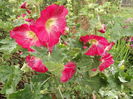 DSCF4019