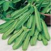 Asparagus Pea