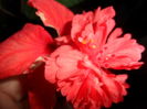 SAM_7345