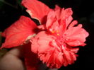 SAM_7346
