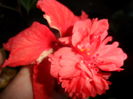SAM_7347