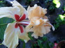 SAM_7336